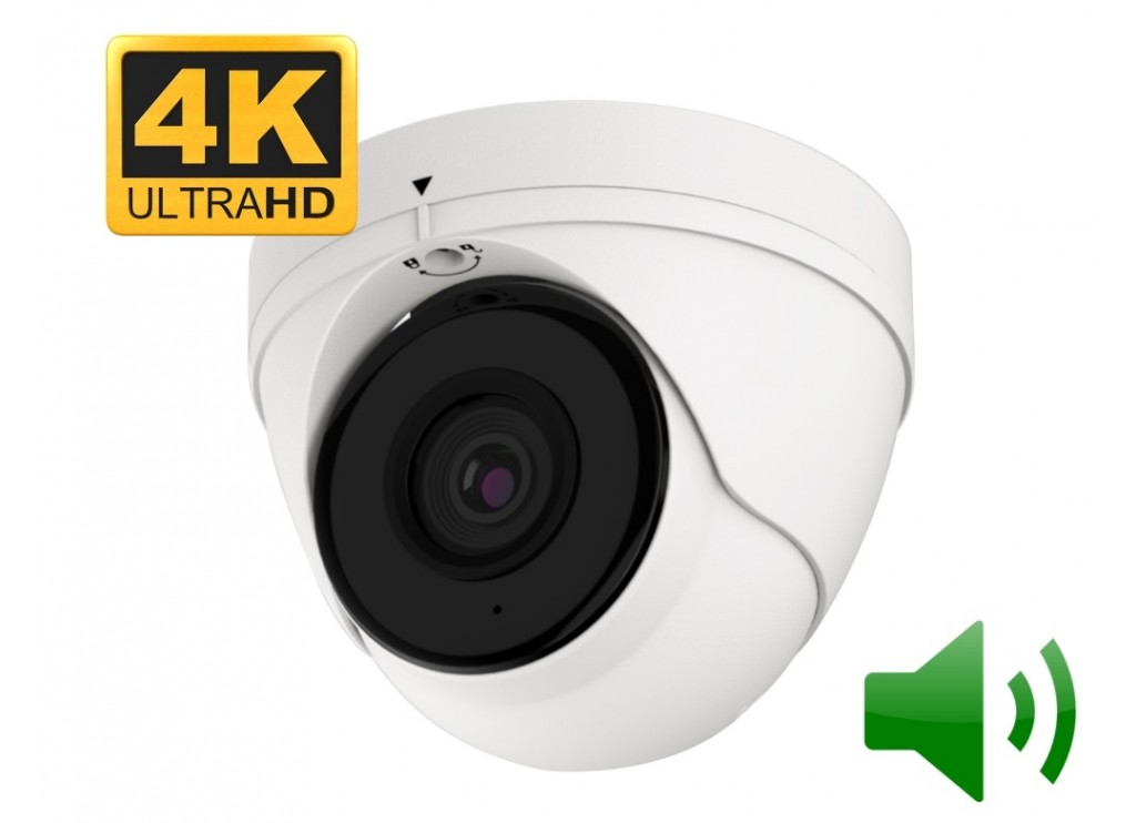 Top 10 Security Camera - Outdoor dome camera with audio and night vision